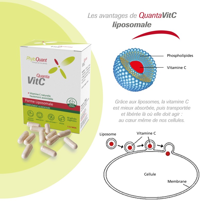 Lot de 3 QuantaVitC Liposomale