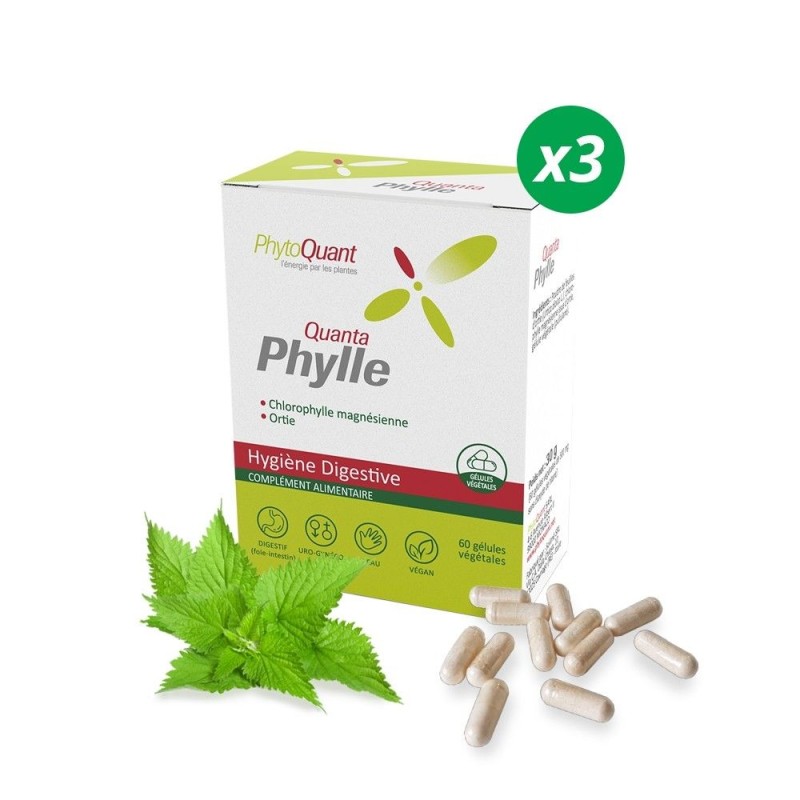 Lot de 3 QuantaPhylle