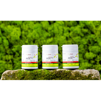 Lot de trois QuantaHDL Fort