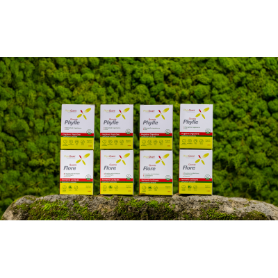 Cure Confort Intestinal 1 An