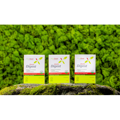 Lot de 3 boîtes de Quantadigest