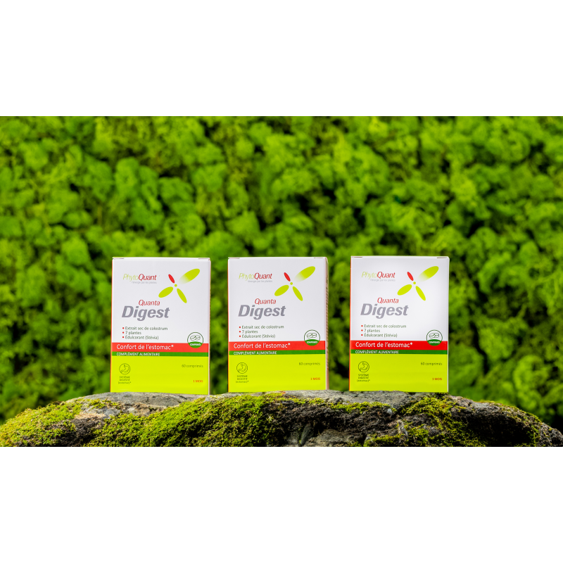 Lot de 3 boîtes de Quantadigest