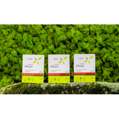 Lot de 3 QuantaFlore