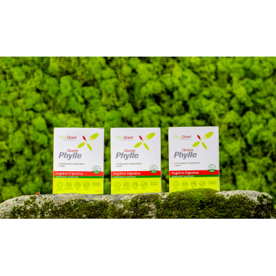 Lot de 3 QuantaPhylle