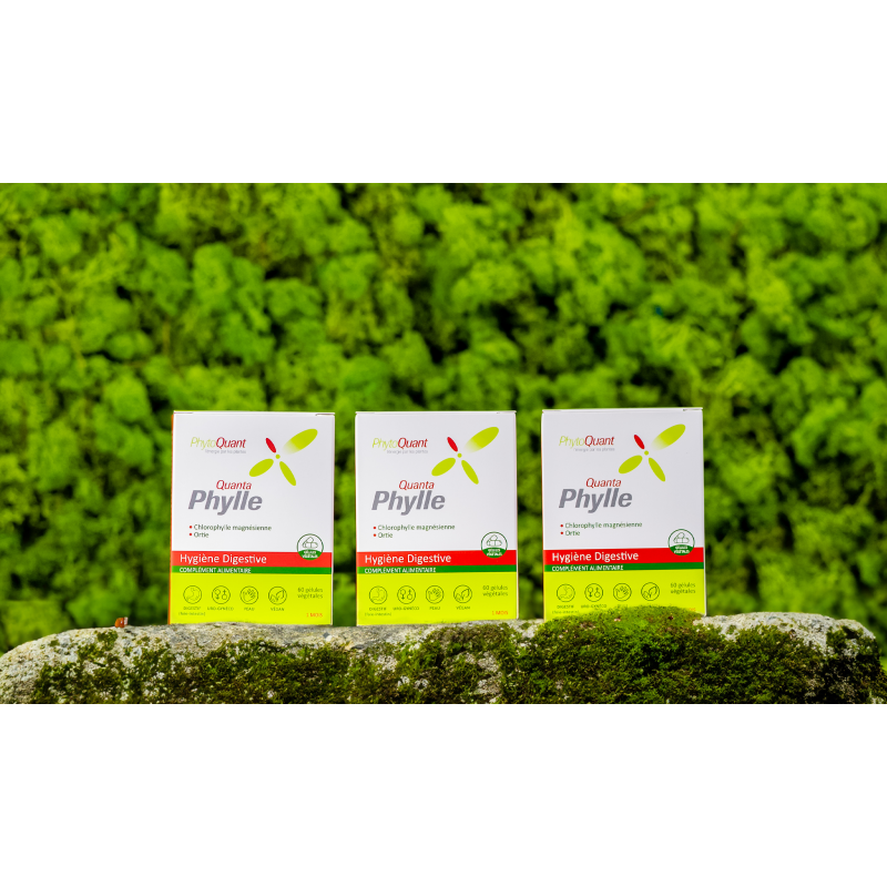 Lot de 3 QuantaPhylle