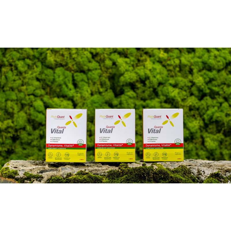 Lot de 3 QuantaVital