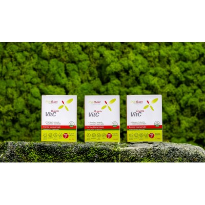 Lot de 3 QuantaVitC Liposomale