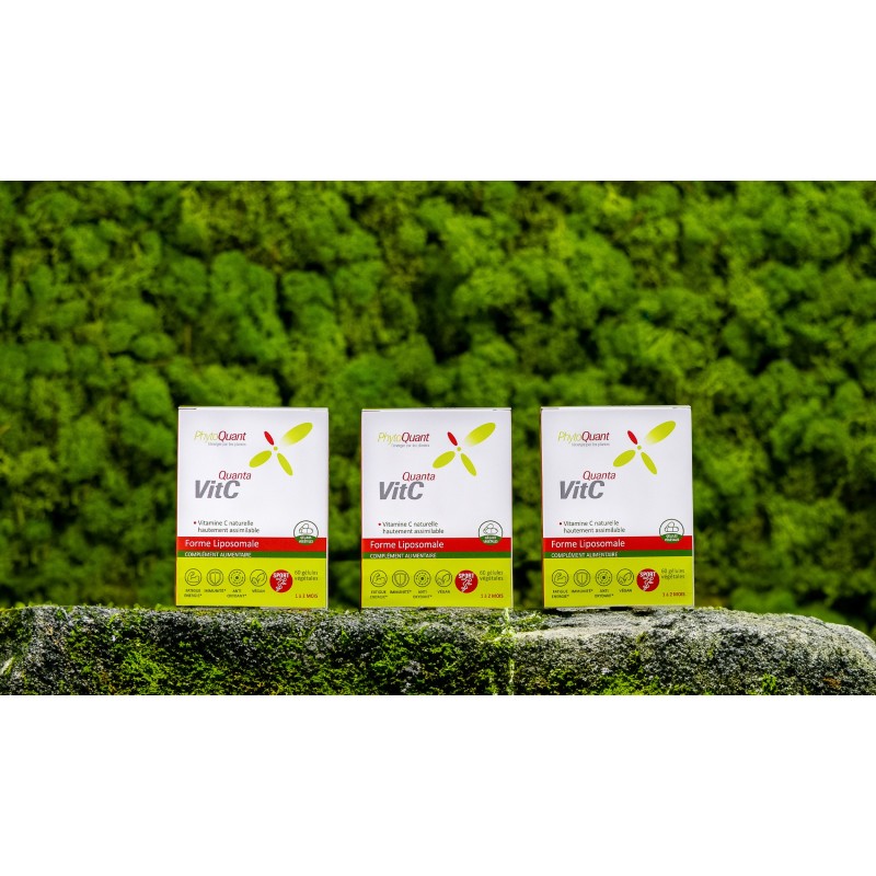 Lot de 3 QuantaVitC Liposomale