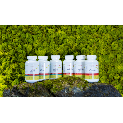 Cure Equilibre Cérébral 3 mois