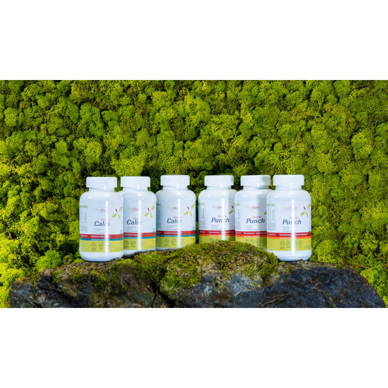 Cure Equilibre Cérébral 3 mois