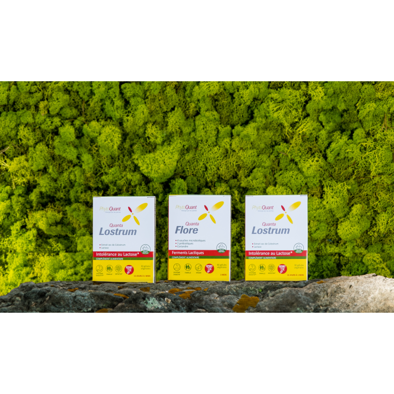 Lot IntoLact • PhytoQuant
