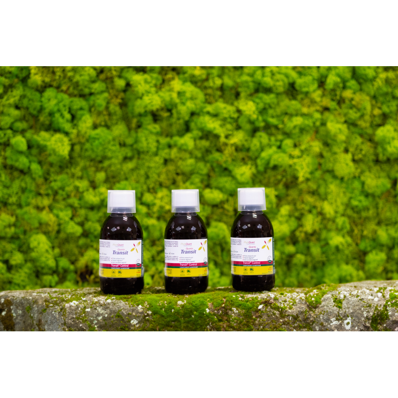 Lot de trois QuantaTransit