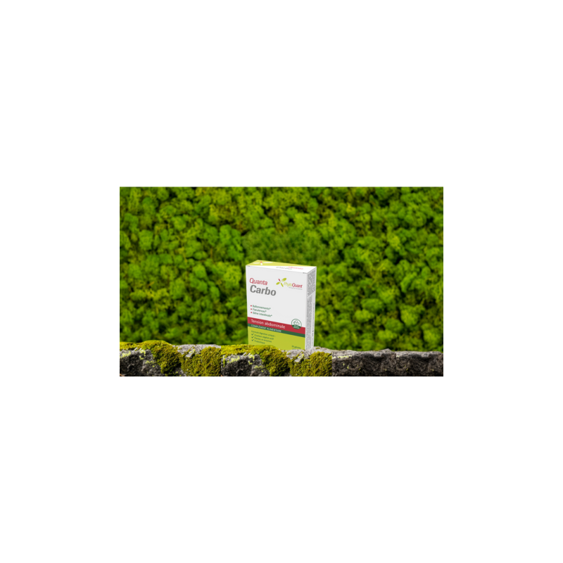 QuantaCarbo