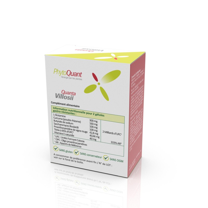 Lot de 3 boîtes de QuantaVilloSII