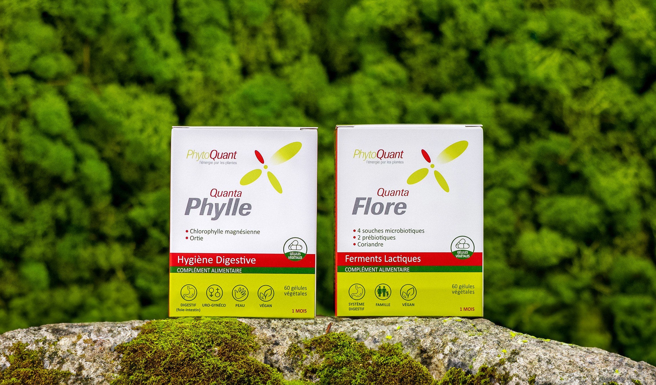 Cure Confort Intestinal