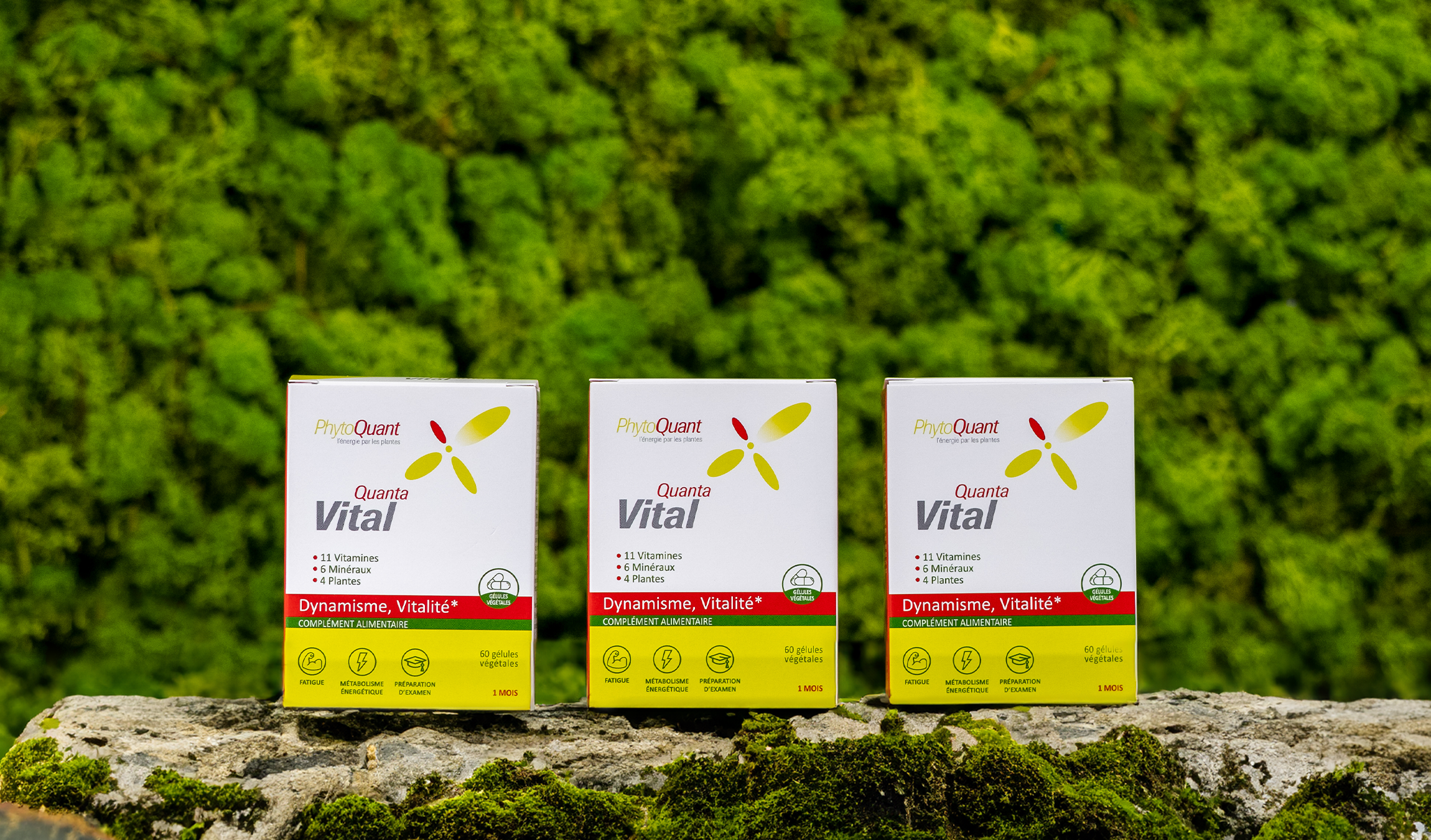 Lot de 3 QuantaVital