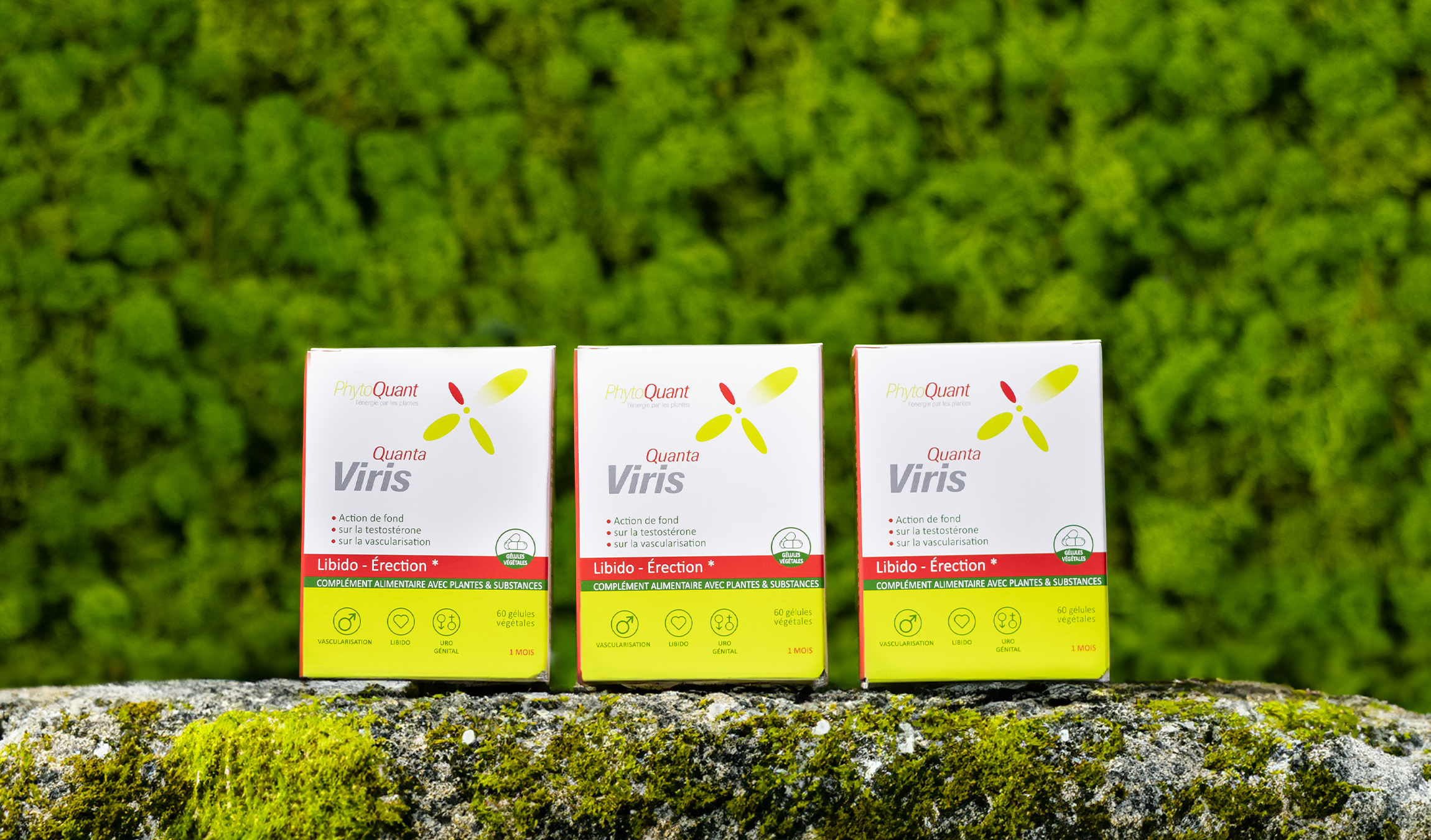 Lot de 3 boîtes de Quantaviris
