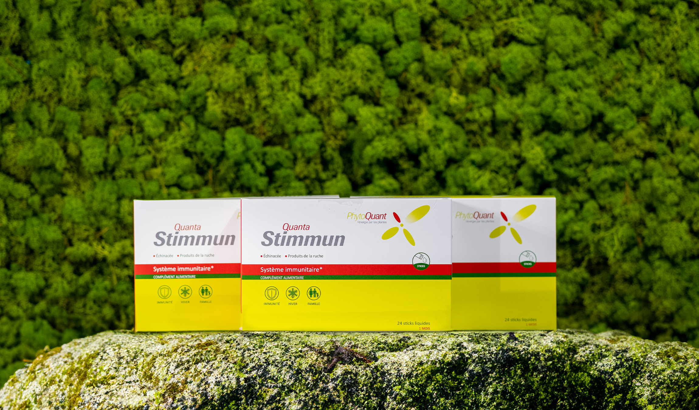 Lot de 3 QuantaStimmun