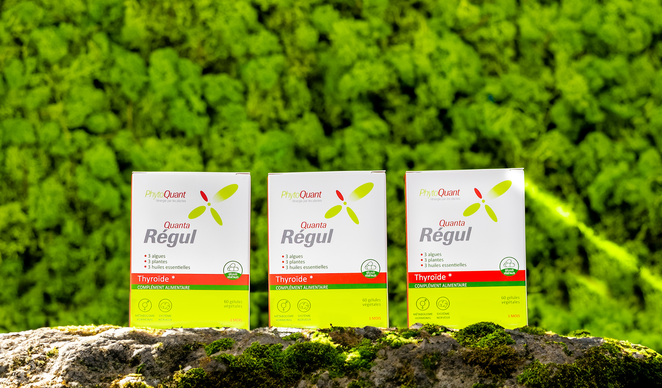 Lot de 3 boîtes de Quantaregul