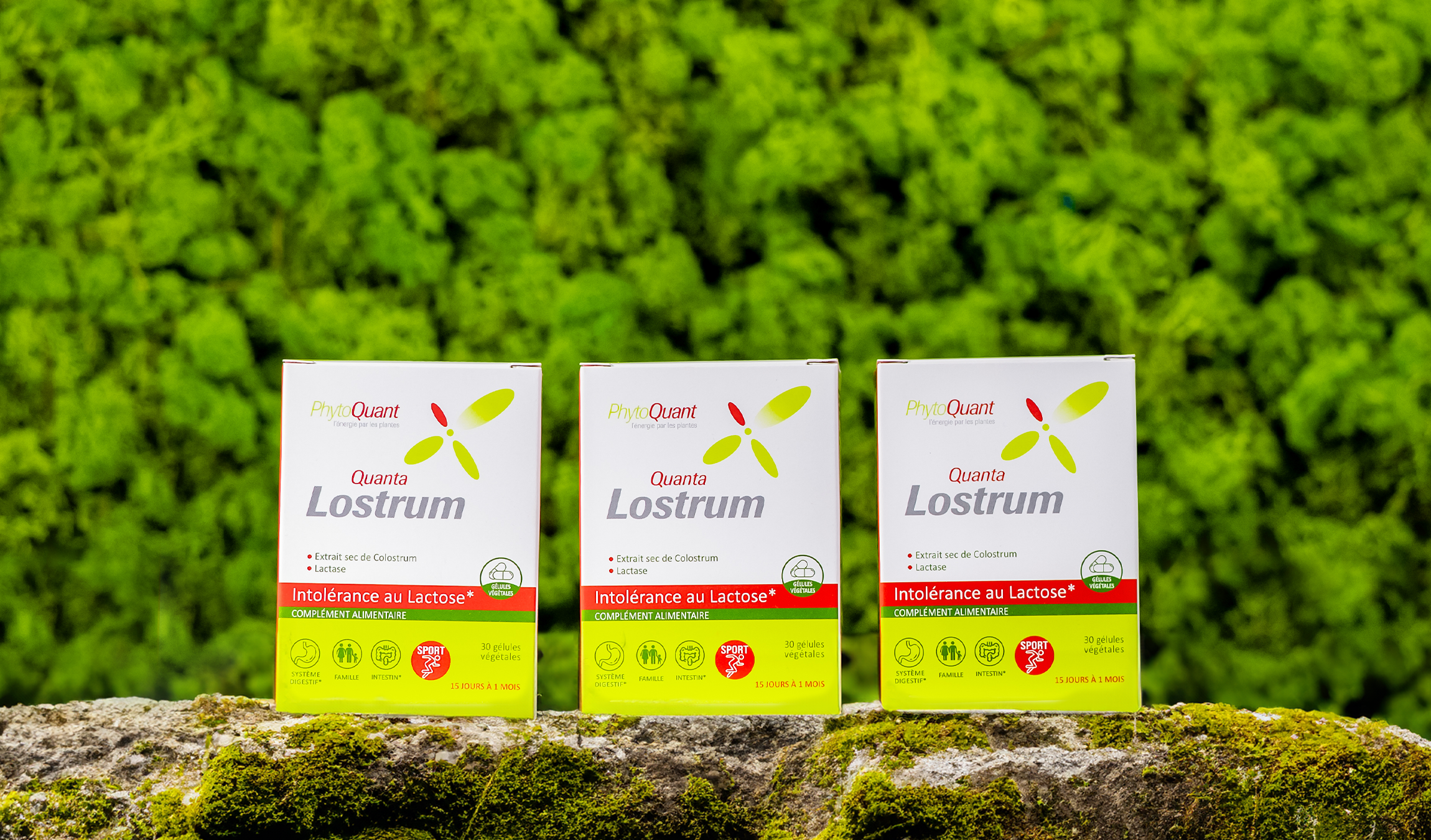 Lot de 3 boîtes de Quantalostrum