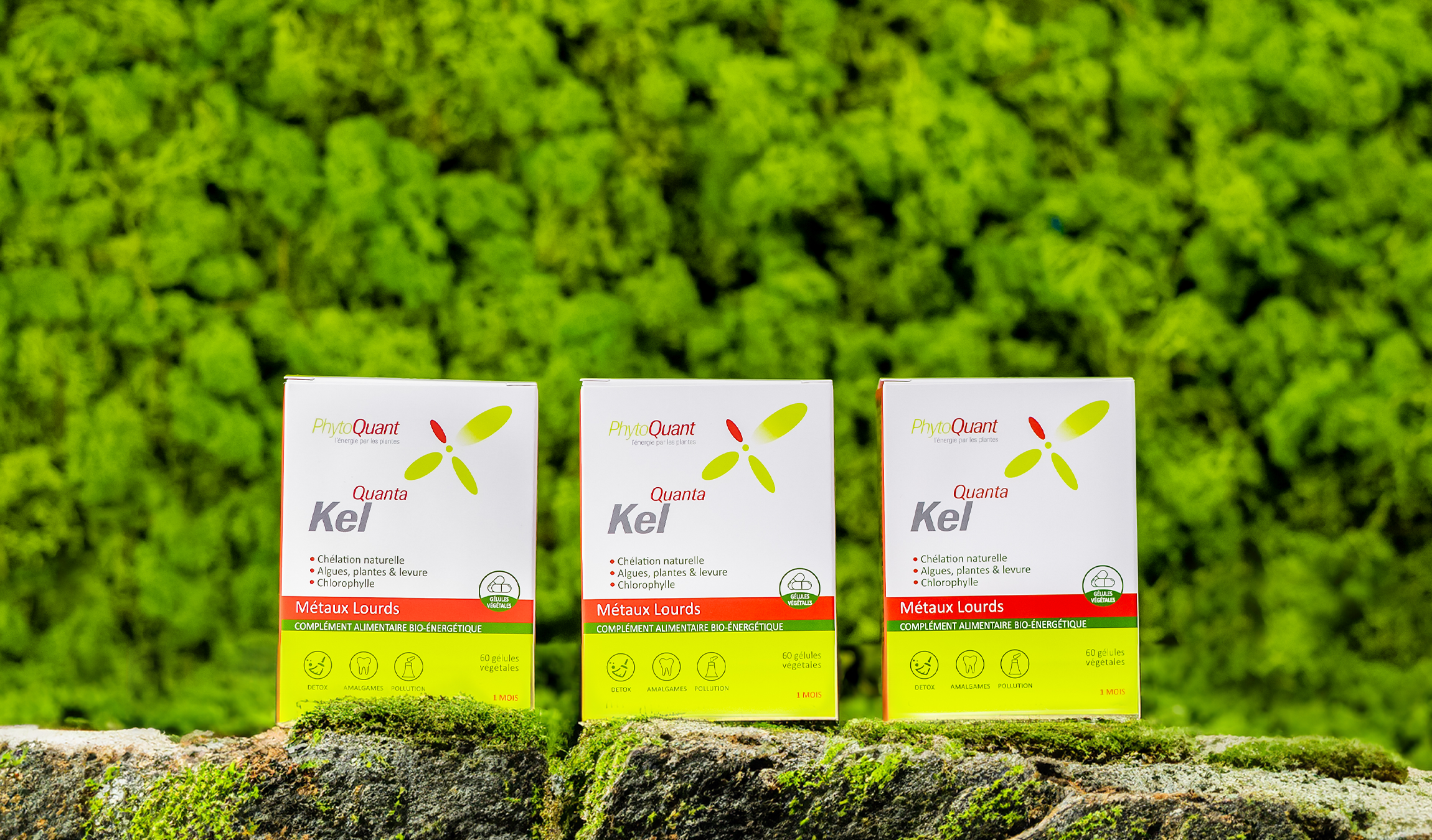 Lot de 3 boîtes de Quantakel
