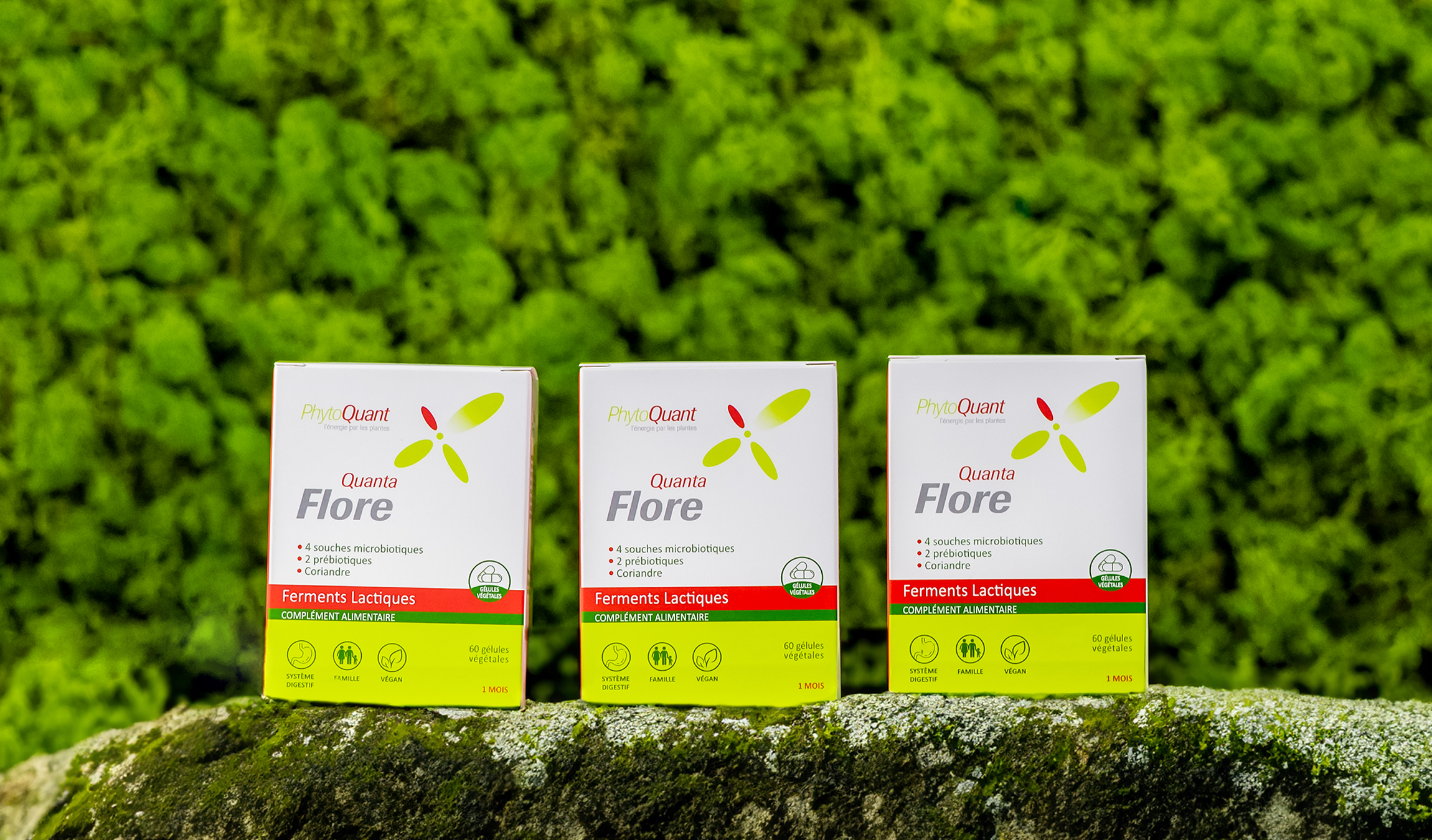 Lot de 3 QuantaFlore