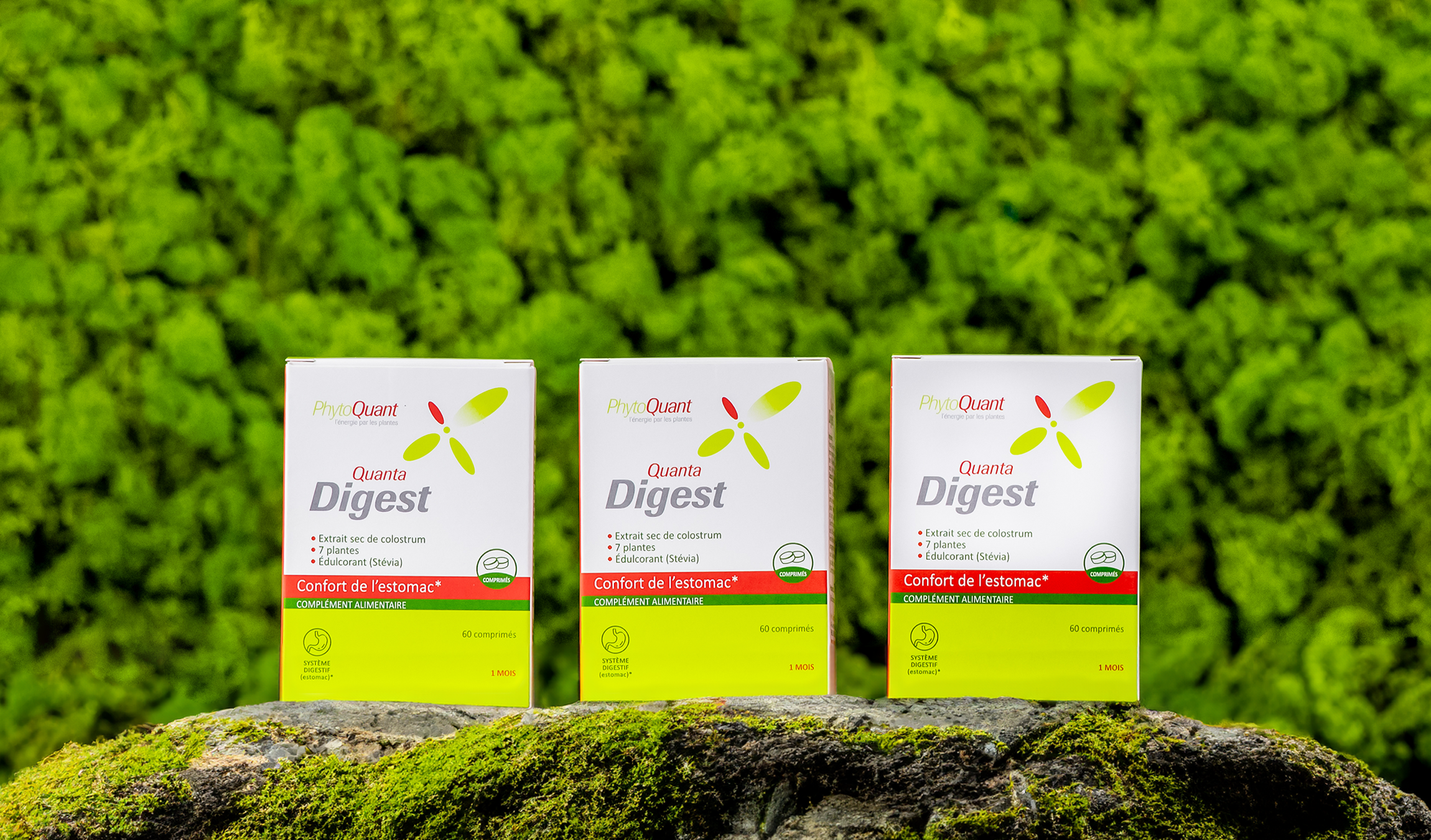 Lot de 3 boîtes de Quantadigest