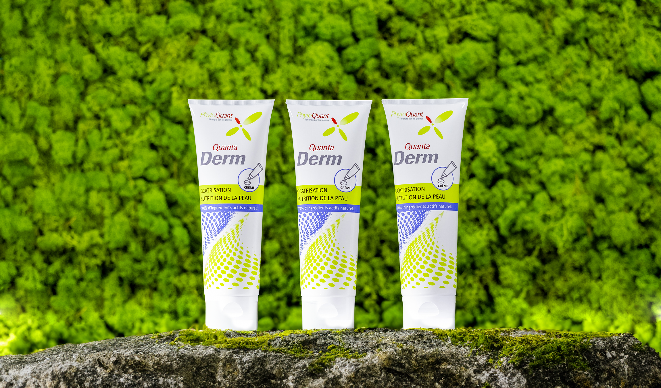 Lot de 3 tubes de Quantaderm