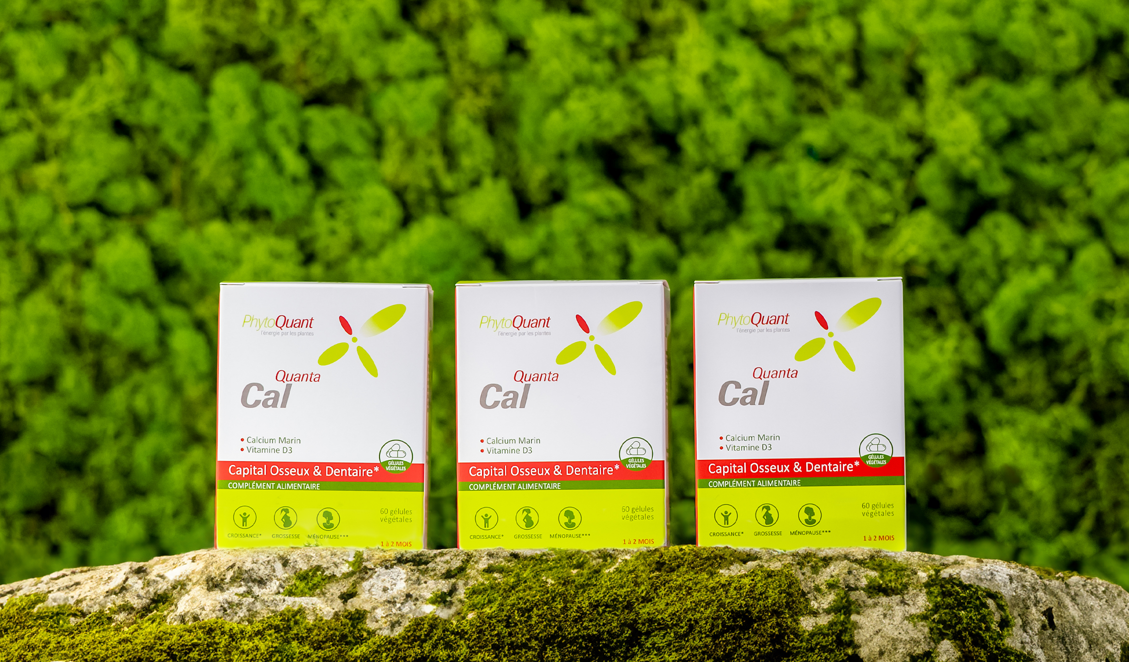 Lot de 3 boîtes de Quantacal