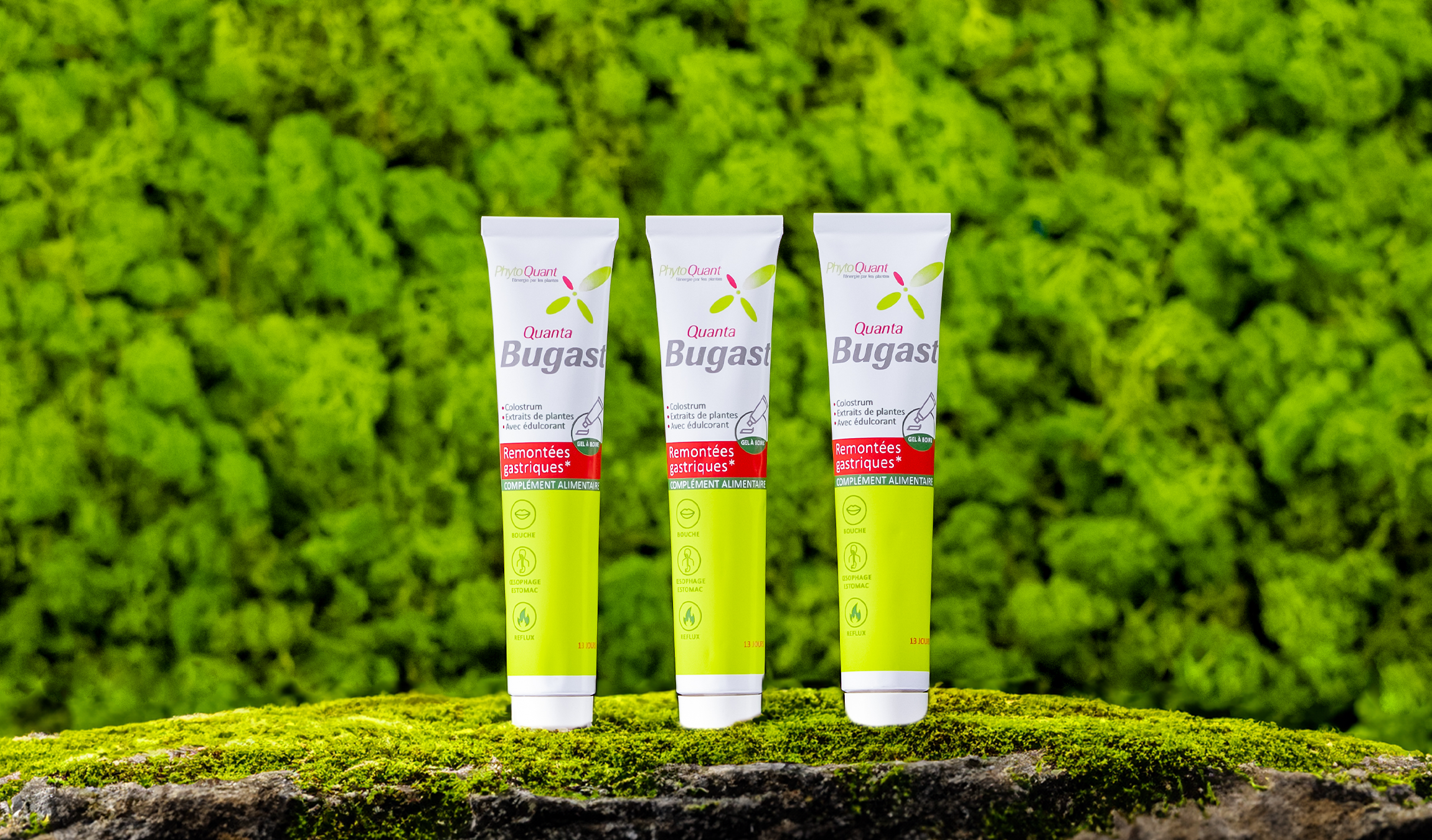 Lot de 3 tubes de Quantabugast