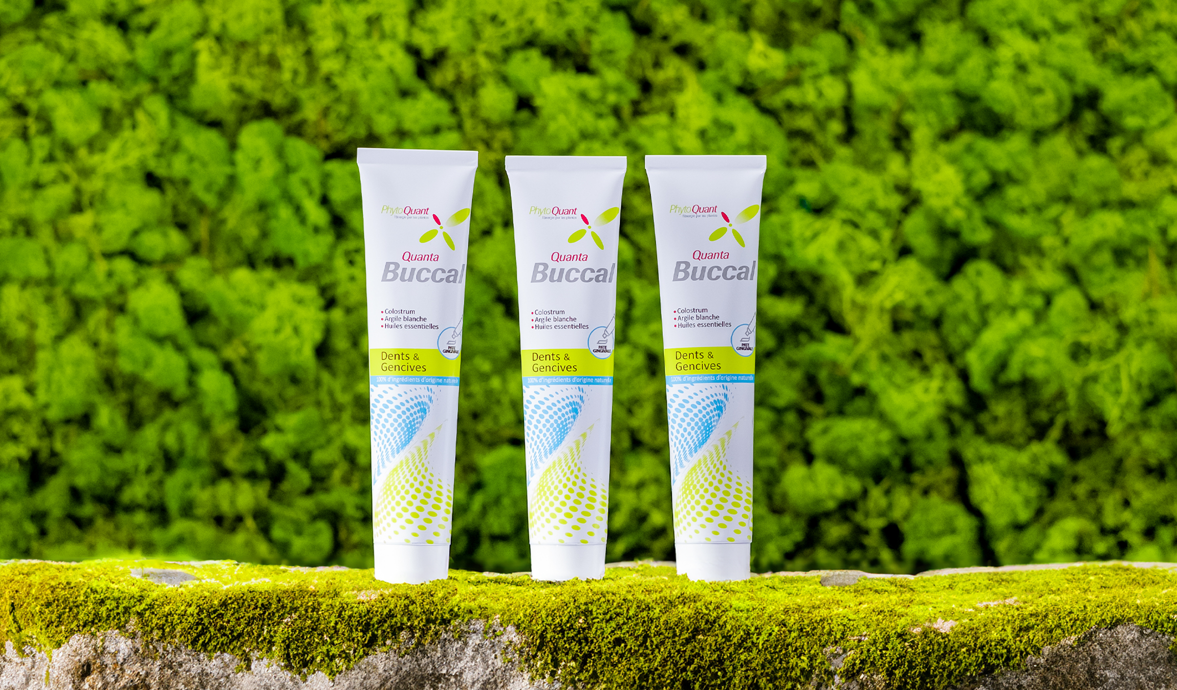 Lot de 3 QuantaBuccal
