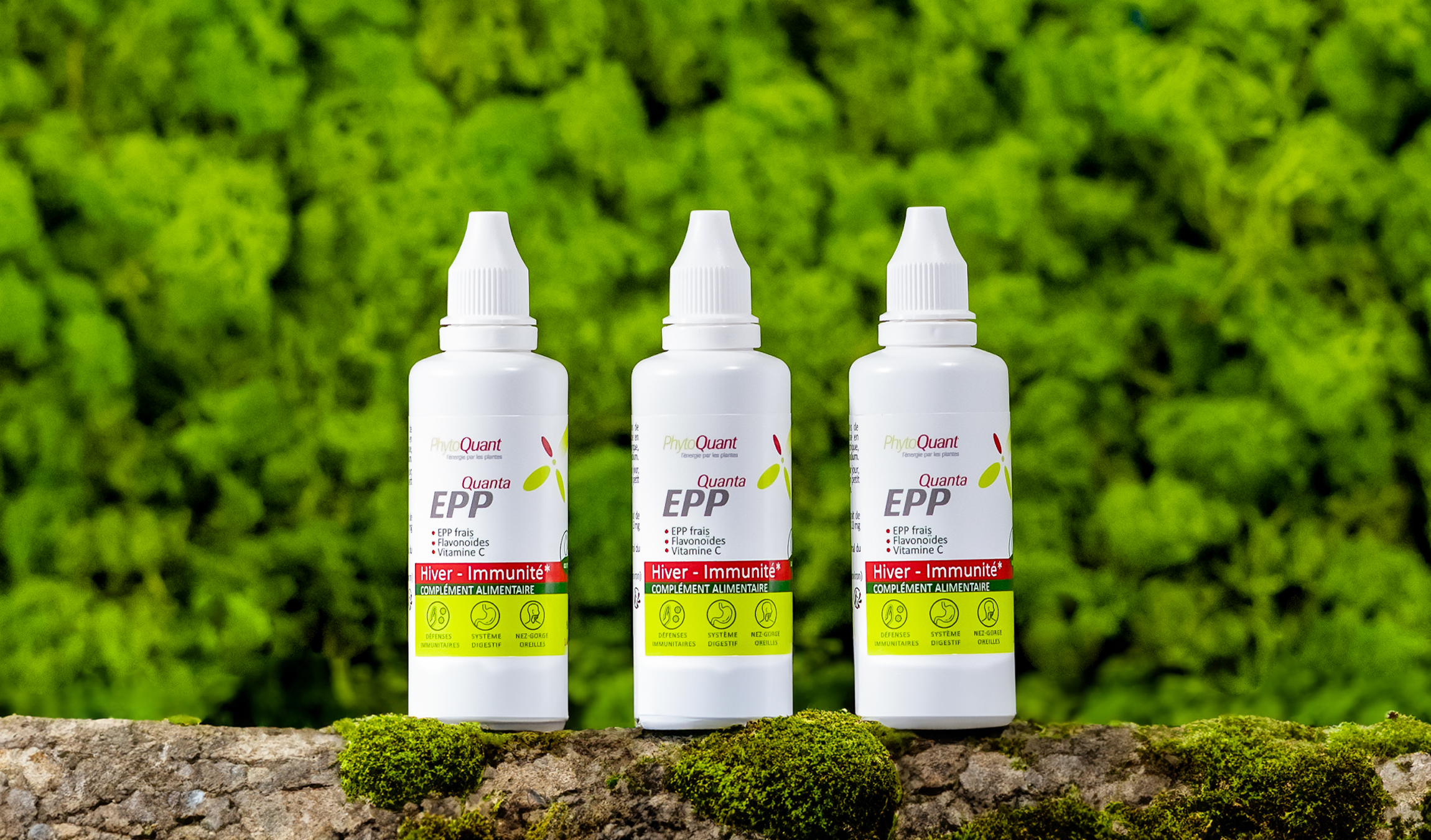 Lot de 3 Flacons de QuantaEPP