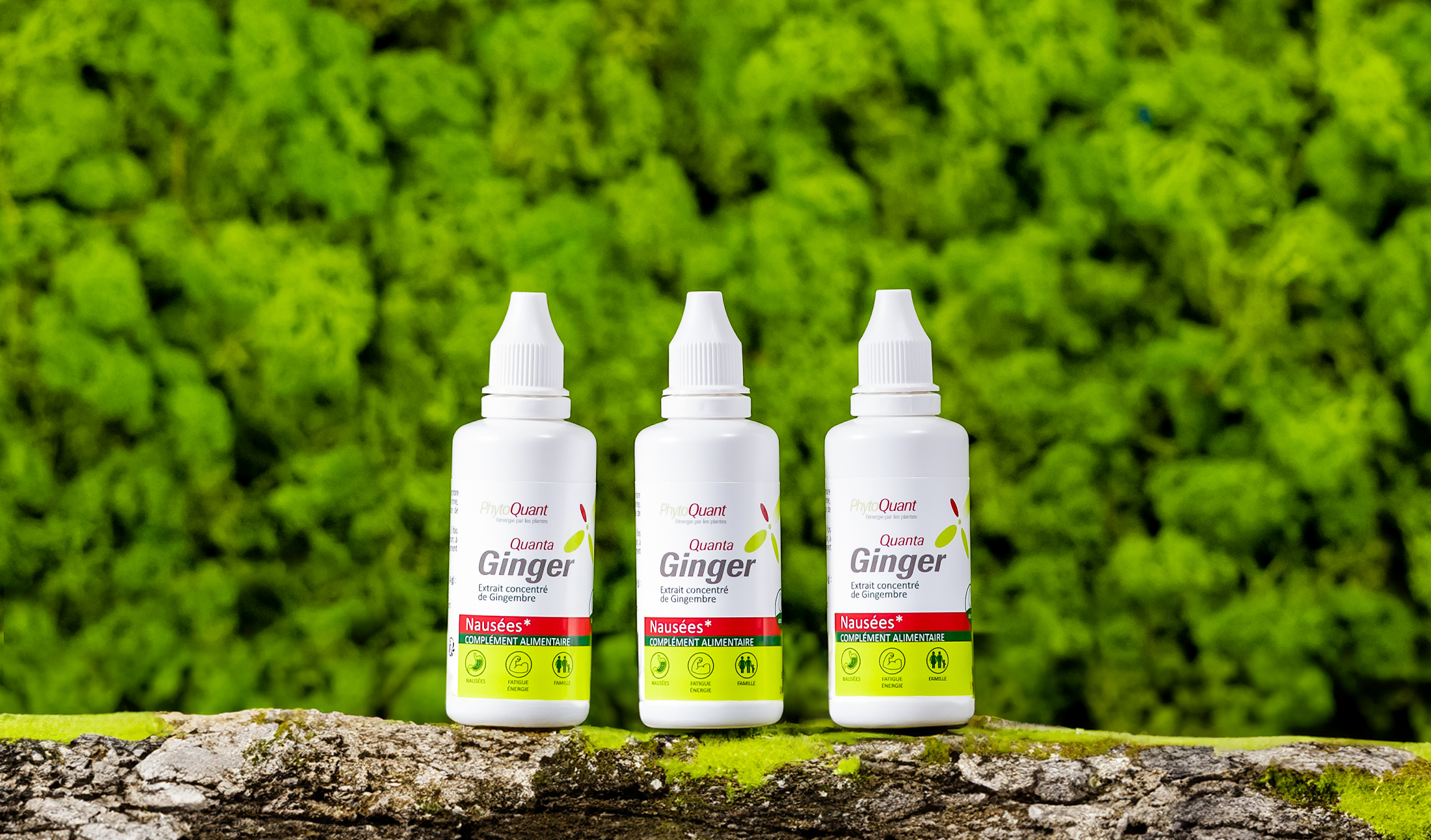 Lot de trois flacons de Quantaginger