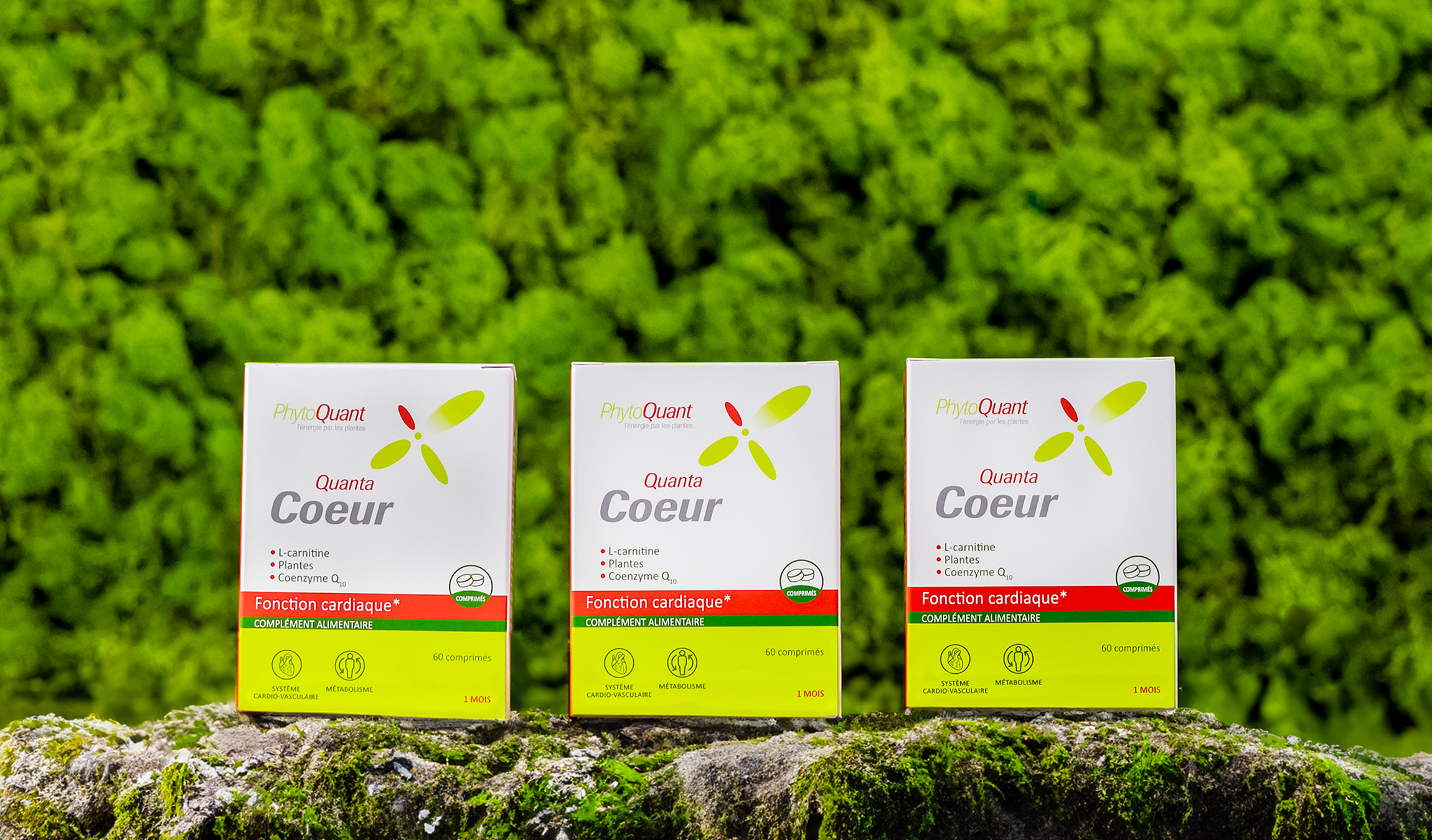 Lot de trois boites de Quantacoeur