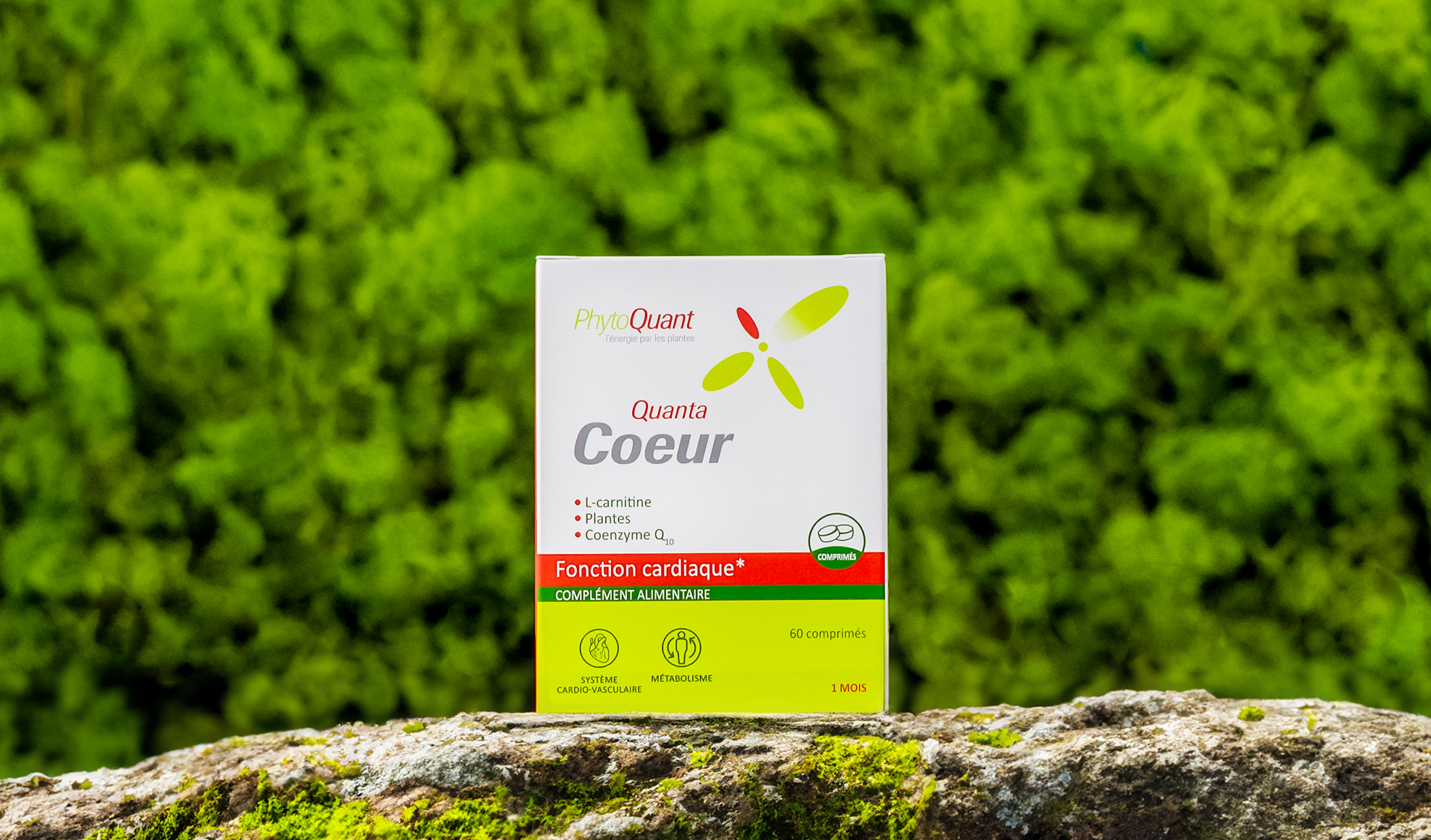 Quantacoeur - sous forme comprimés