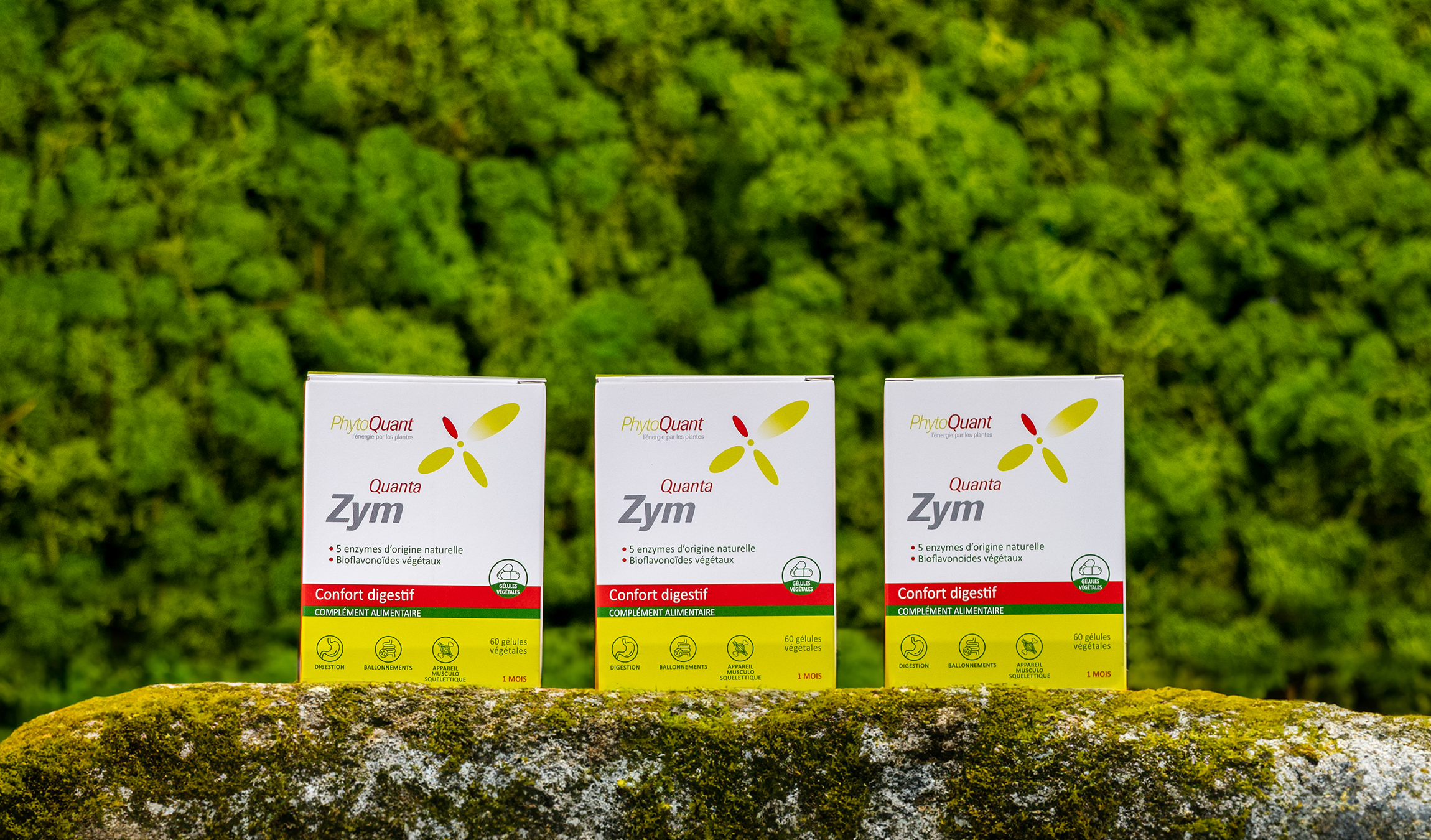 Lot de trois Quantazym