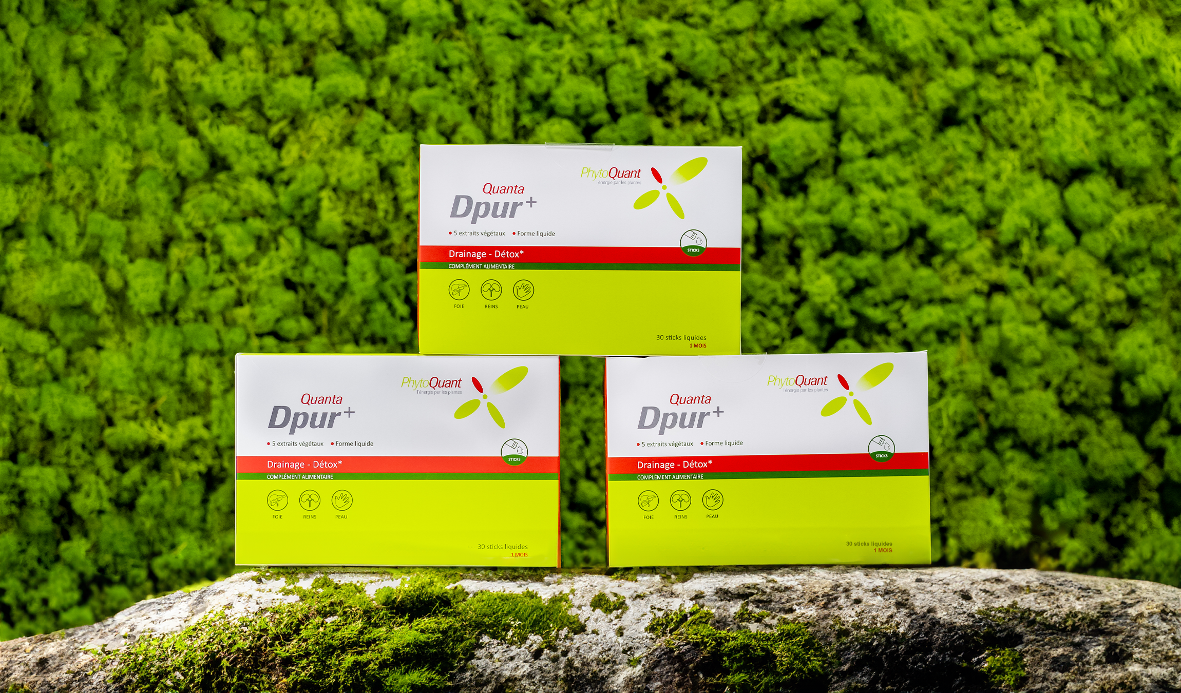 Lot de trois QuantaDpur+ Stick