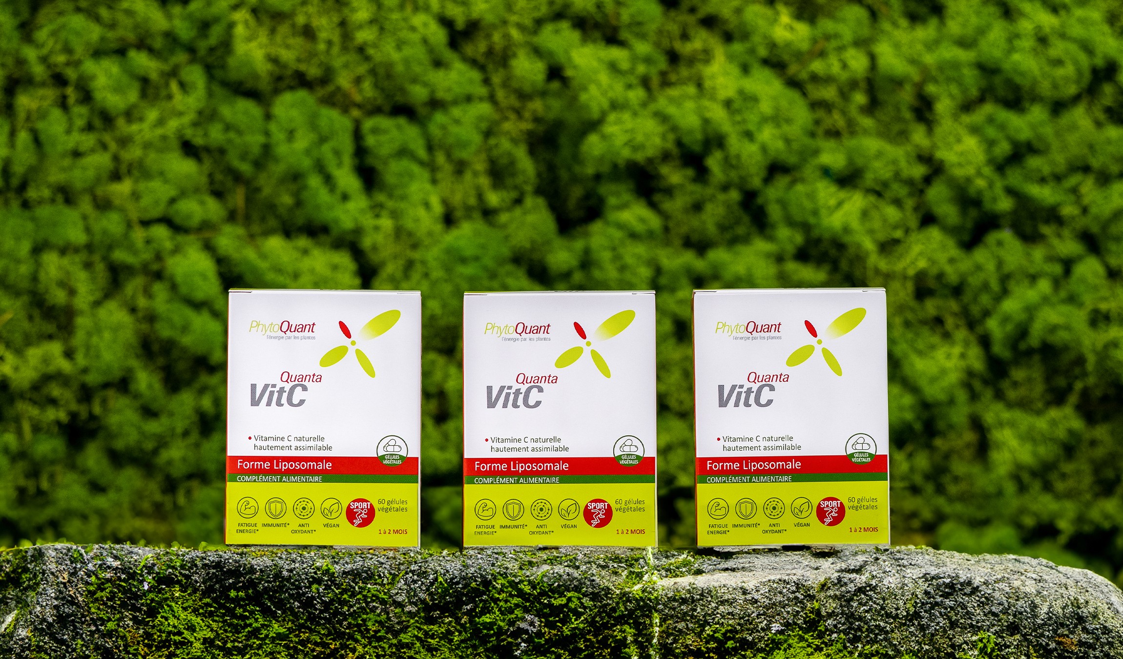 Lot de 3 QuantaVitC Liposomale