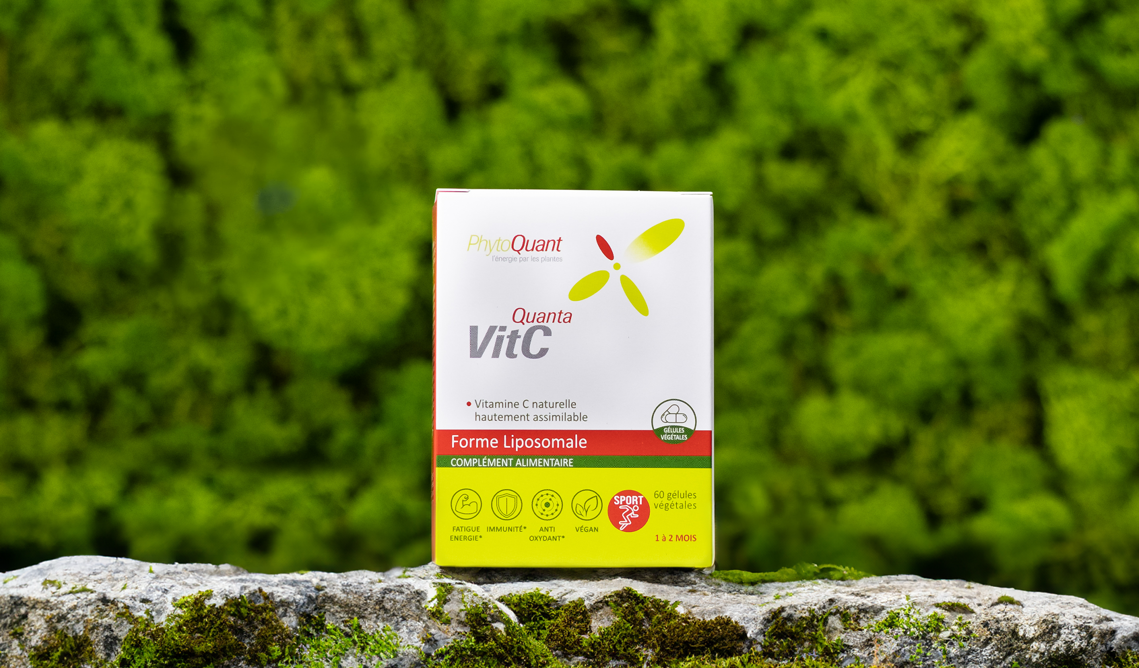 QuantaVitC Liposomale