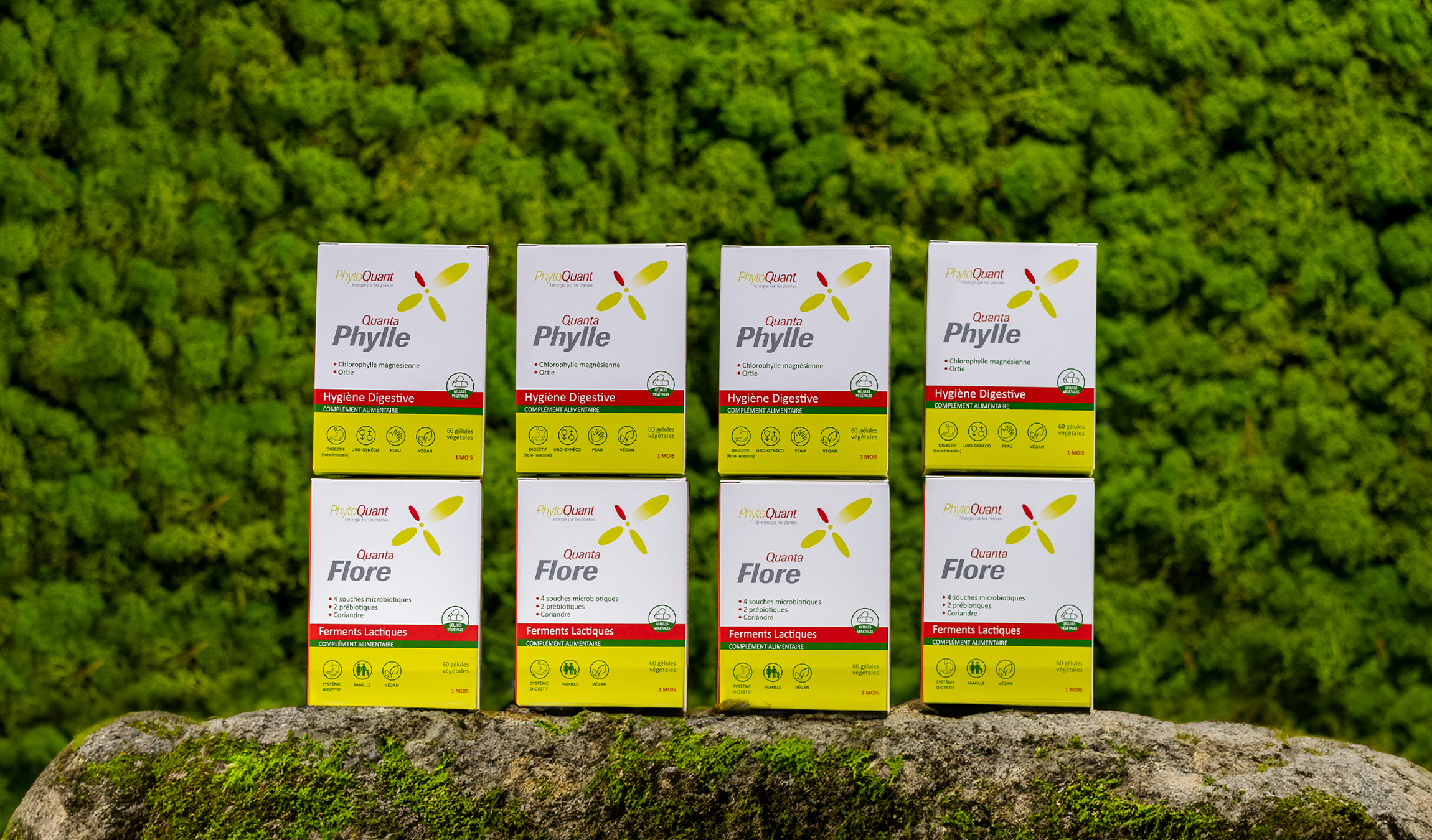 Cure Confort Intestinal 1 An