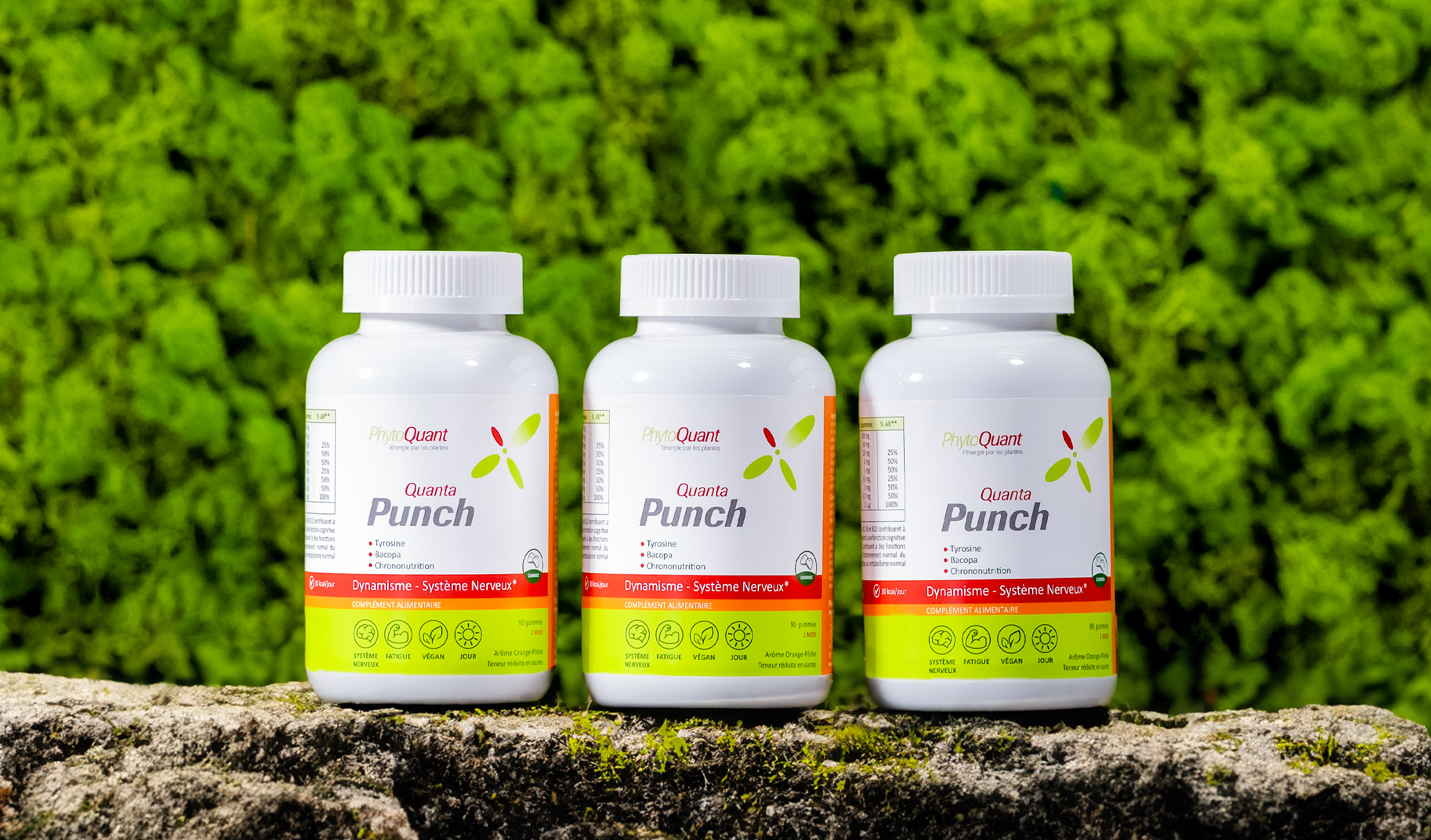 Lot de 3 boites de QuantaPunch