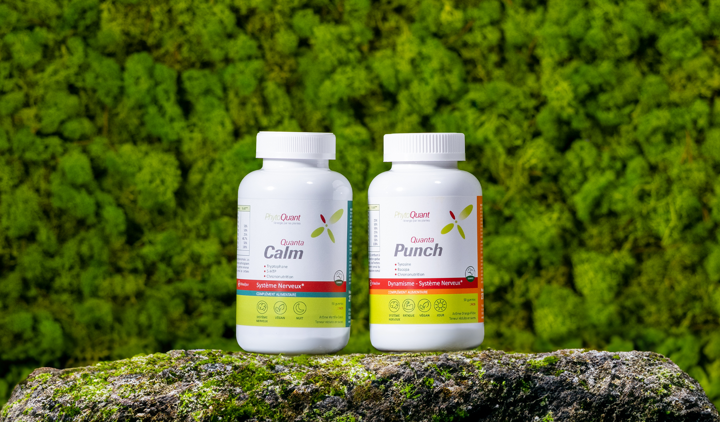 Cure Equilibre Cérébral