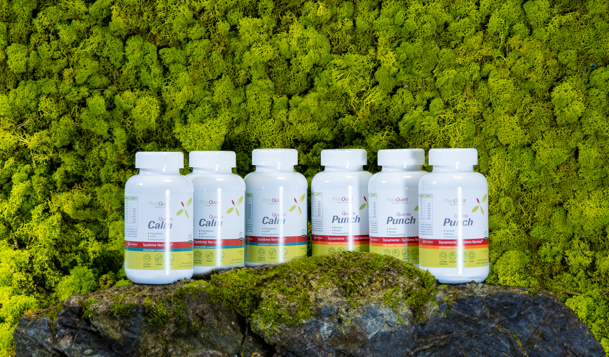 Cure Equilibre Cérébral 3 mois