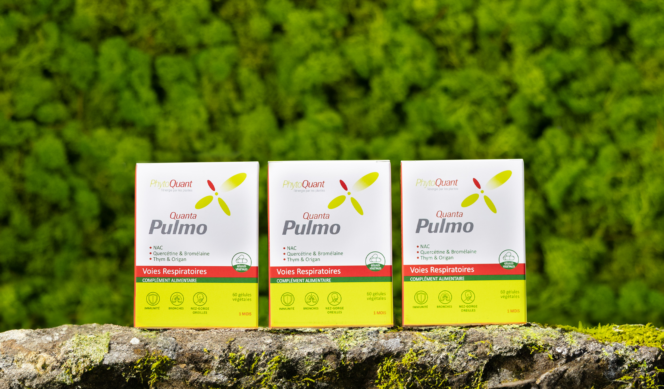 Lot de trois QuantaPulmo