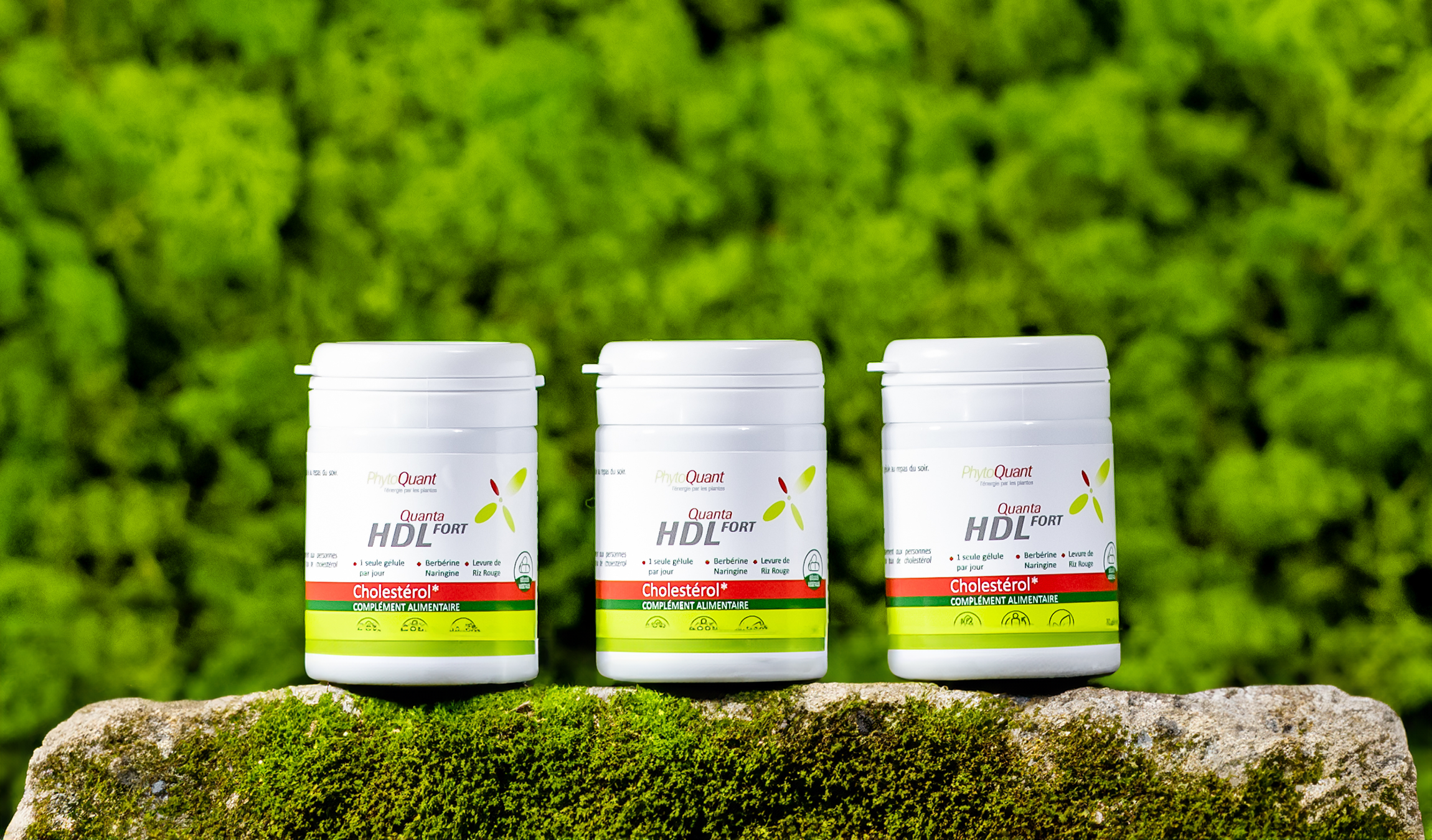 Lot de trois QuantaHDL Fort