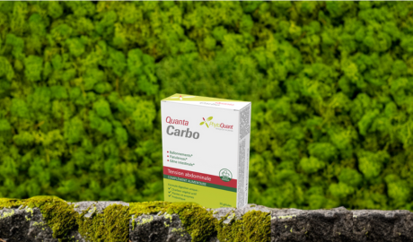 QuantaCarbo