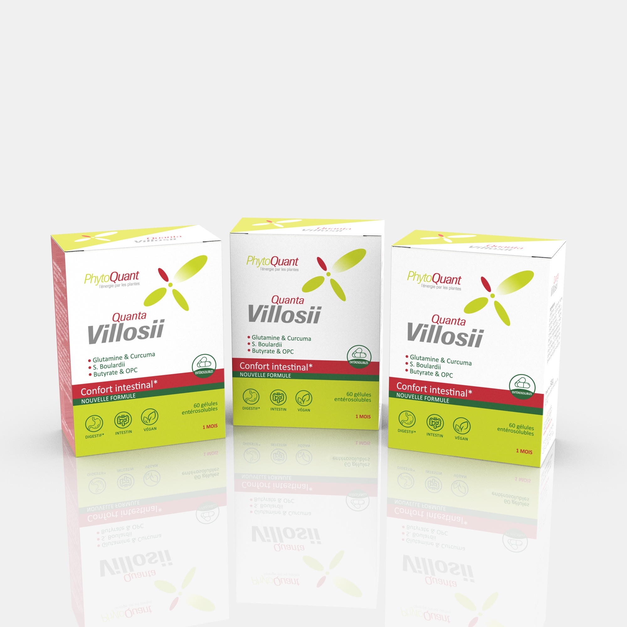 Lot de 3 boîtes de QuantaVilloSII