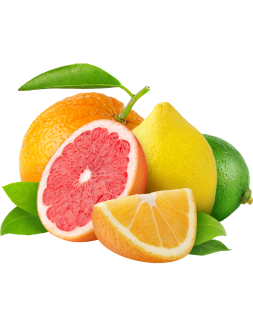 guide-immunite-phytoquant