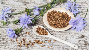 plantes-riche-en-chlorophylle-pour-chelation